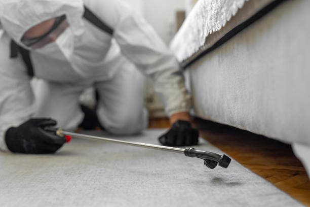Professional Pest Control technician working in Clay County County, GA